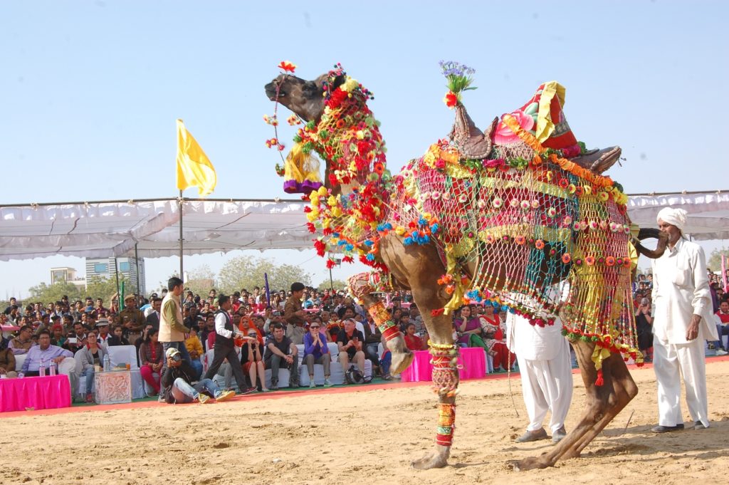 Rajasthan heritage tour