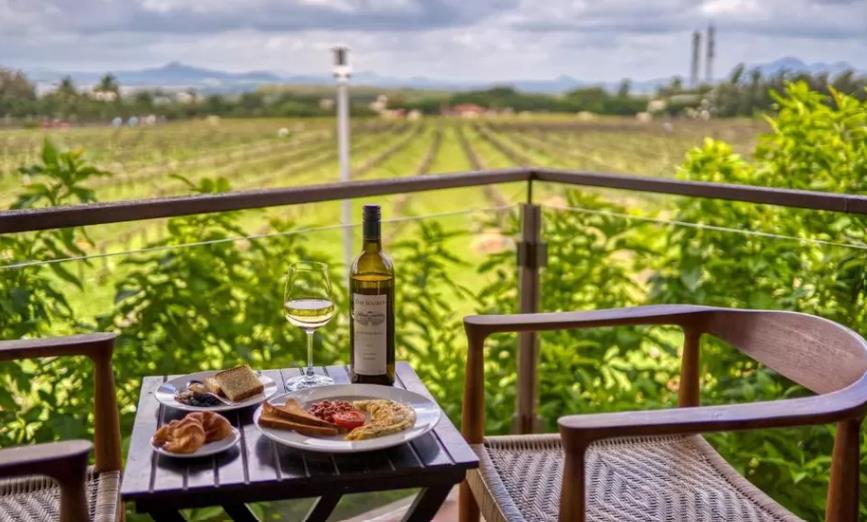 Sulavineyards wine tasting