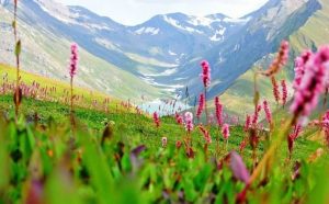 Best Romantic Places in India for Couples