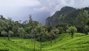 Best Romantic Places in India for Couples